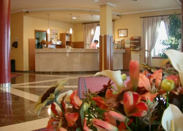 巴约纳巴伊亚酒店 酒店 3*